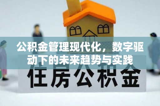 萨迦公积金管理现代化，数字驱动下的未来趋势与实践