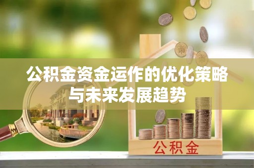 萨迦公积金资金运作的优化策略与未来发展趋势
