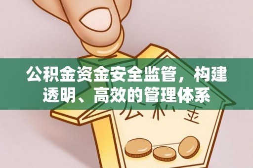 萨迦公积金资金安全监管，构建透明、高效的管理体系