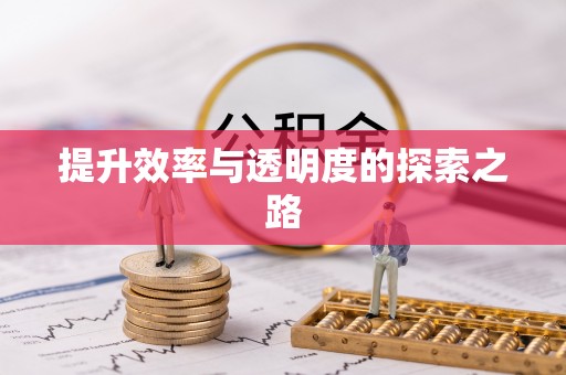 萨迦提升效率与透明度的探索之路