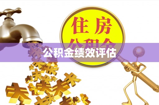 萨迦公积金绩效评估