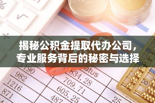 萨迦揭秘公积金提取代办公司，专业服务背后的秘密与选择指南