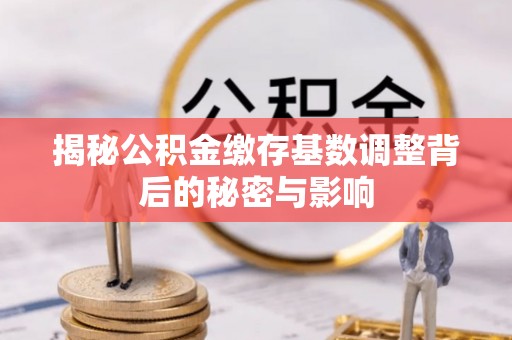 萨迦揭秘公积金缴存基数调整背后的秘密与影响