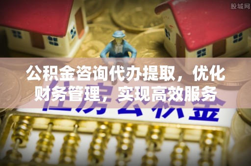 萨迦公积金咨询代办提取，优化财务管理，实现高效服务