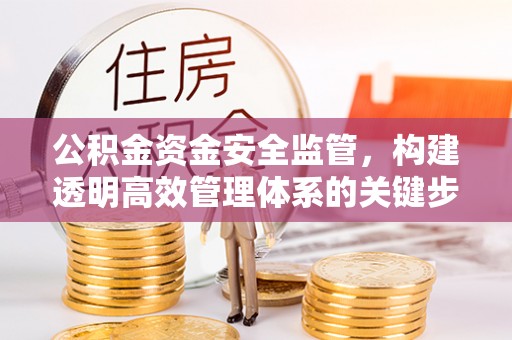萨迦公积金资金安全监管，构建透明高效管理体系的关键步骤