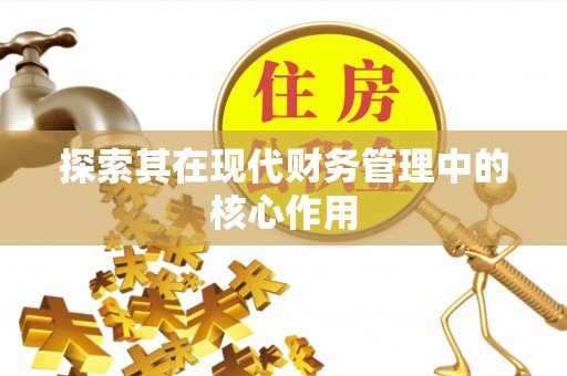 萨迦探索其在现代财务管理中的核心作用