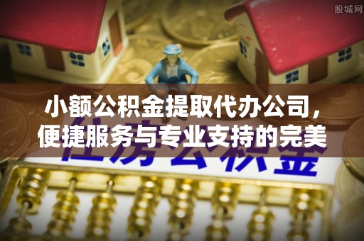 萨迦小额公积金提取代办公司，便捷服务与专业支持的完美结合