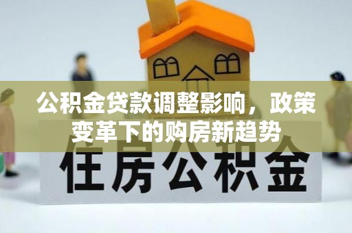 萨迦公积金贷款调整影响，政策变革下的购房新趋势