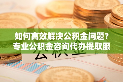 萨迦如何高效解决公积金问题？专业公积金咨询代办提取服务来帮你