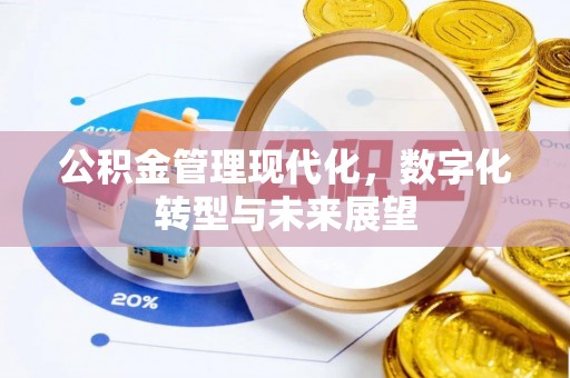 萨迦公积金管理现代化，数字化转型与未来展望